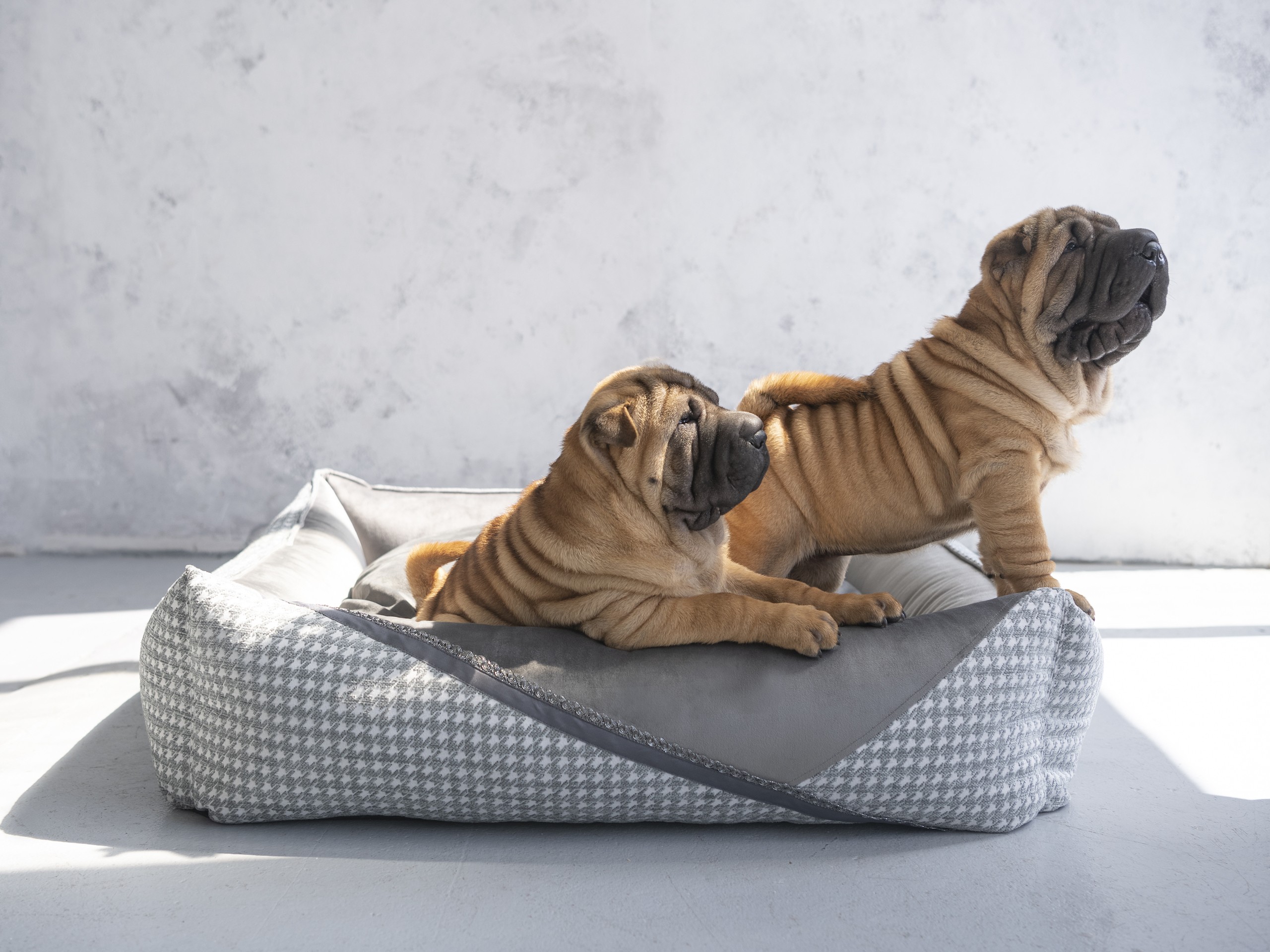 Oh Charlie - Glamour Deluxe bed
