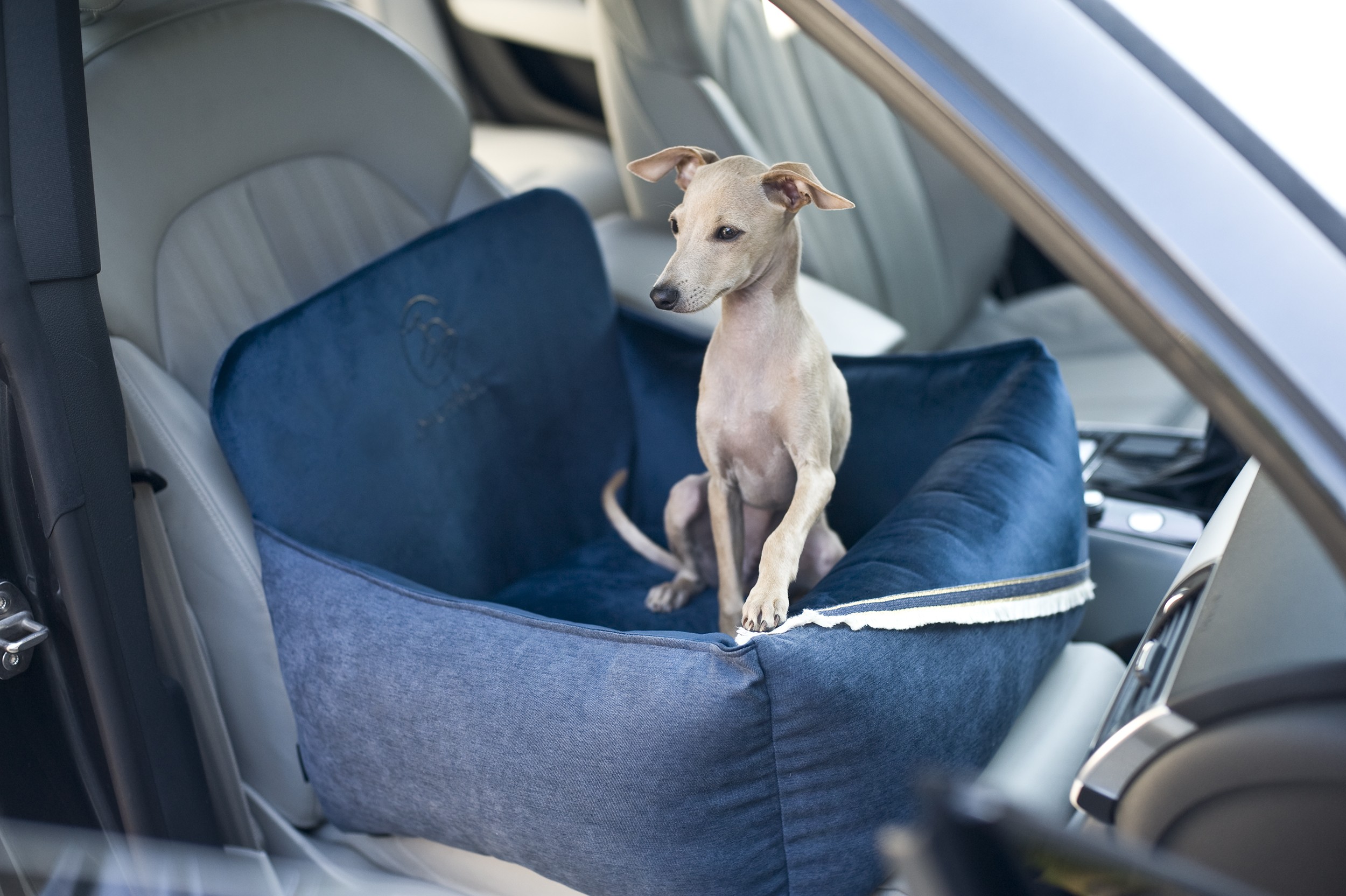 Oh Charlie - Allure car seat