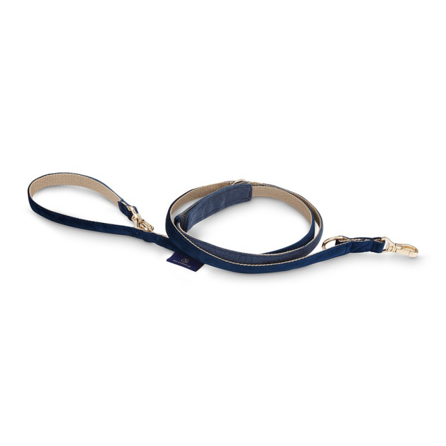 Oh Charlie - Allure leash